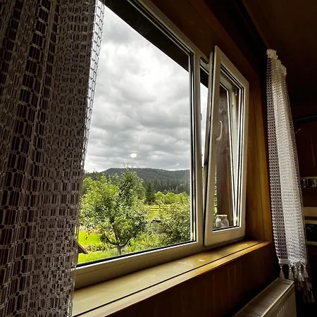 приват-котедж зарінок * Mykulychyn