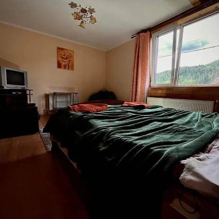 приват-котедж зарінок * Mykulychyn